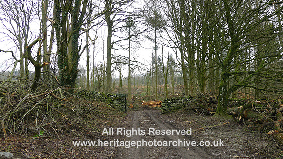 HRS 10771 Cartmel, Storm Arwen tree damage clearance gate 2022