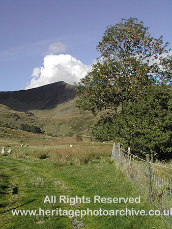 HRS 8880 Blaen Pennant DSCN2838