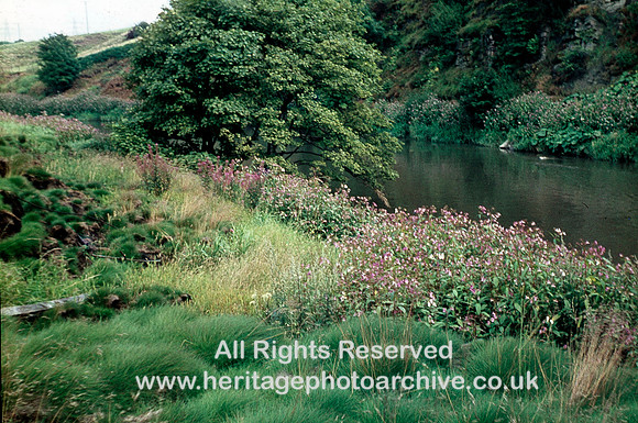 HRS 7126 Radcliffe, Irwell at Mount Sion 1971