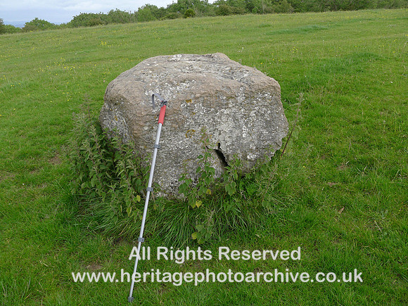 HRS 109005 Humphrey Head, Limestone erratic boulder L1210332