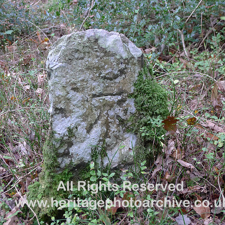 HRS 7736 OS bench mark Roudsea Wood near Barn