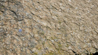 HRS 8017 Claughton Moor ripple marks in flagstone