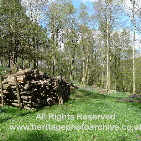 HRS 2250 Bouth, Haybridge Nature Reserve,