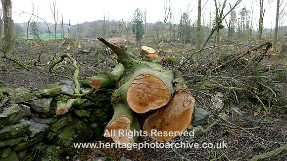 HRS 10772 Cartmel Storm Arwen damage clearance tree section 2022
