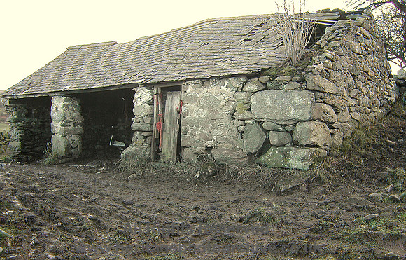 HRS 1218 Llanbedr-y-cennin, Onen Ebryd