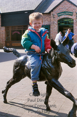 Ringwood, child on horse