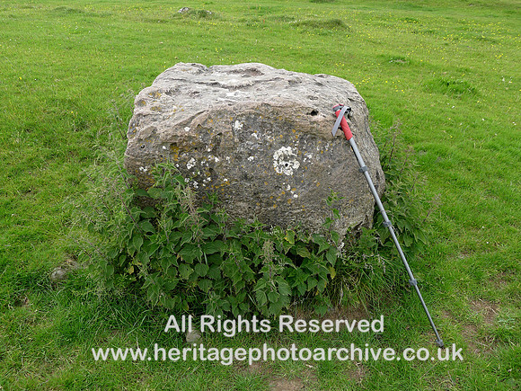 HRS 109004 Humphrey Head, limestone erratic boulder L1210331