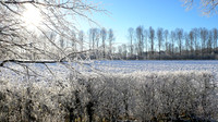 HRS 510 Holker, Old Park lane in snow 2010