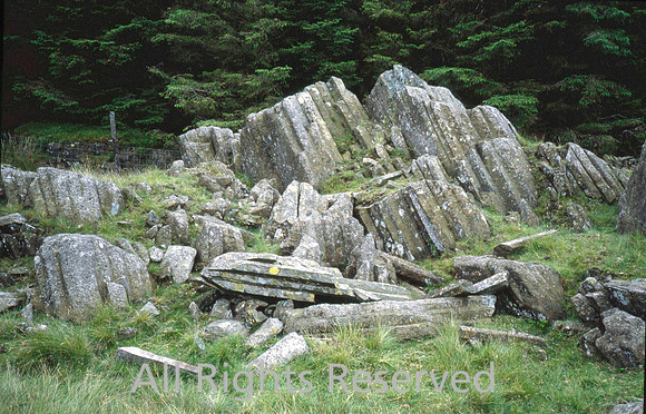 Hexagonals on Broughton Moor Sep 1989