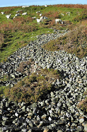 HRS 689 A mystery, Birkrigg loose angular stones