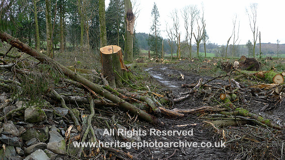 HRS 10773 Cartmel, Storm Arwen tree damage clearance 2022