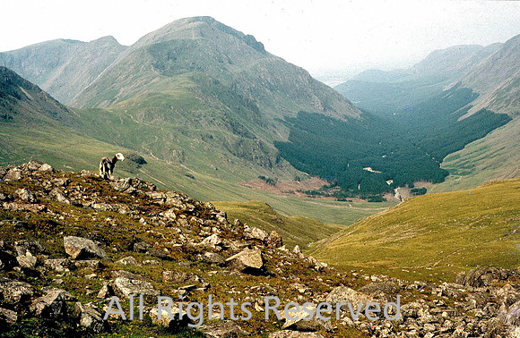 Ennerdale Valley from above