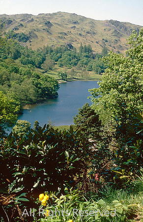 Rydal view, Grasmere