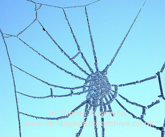Ice slows down the web