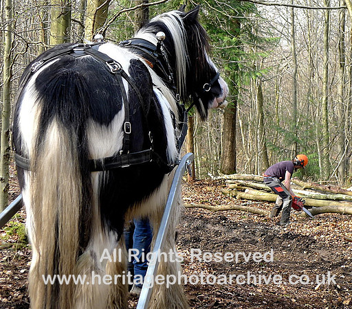 Patience and the chain-saw