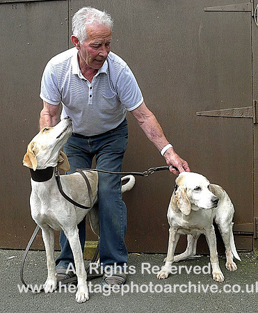 The trail hounds
