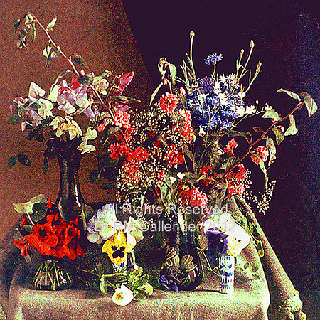 Autochrome, Still life of flowers