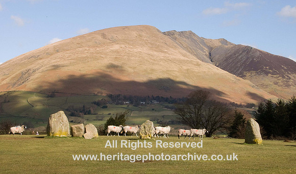 HRS 826 Keswick, Castlerigg Stone Circle, sheep