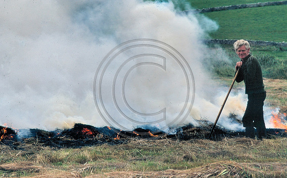 Reed burning Oct 1980