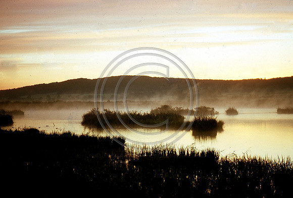 Morning-mist-of-the-Moss-corrected
