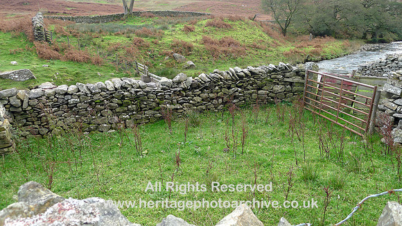 HRS 9858 Barbondale, sheep wash pen L1180697