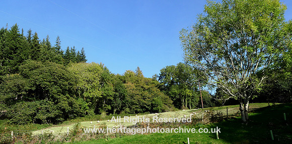 HRS 11336  Abergwyngregyn car park, field