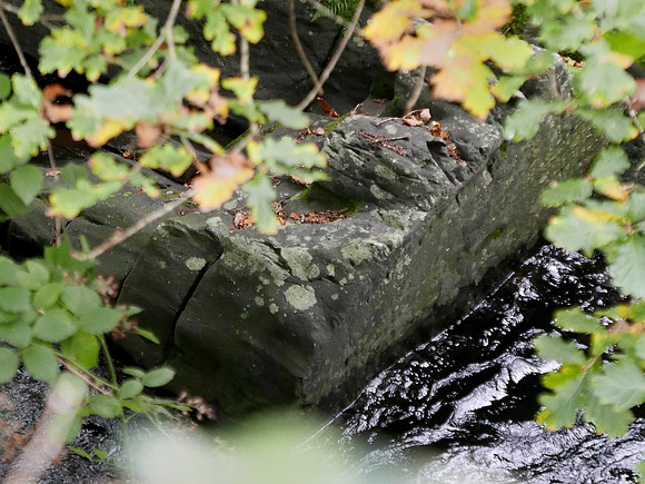 HRS 11377 Trefriw Woollen Mill, weir and sluice using natural outcrop L7770250