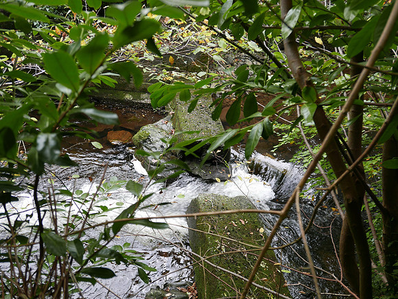 HRS 11386  Trefriw Woollen Mill, remains of concrete dam L7770258