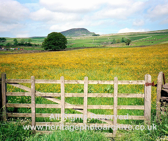 HRS 2632 Stainforth, Pen-y-Ghent spring meadow