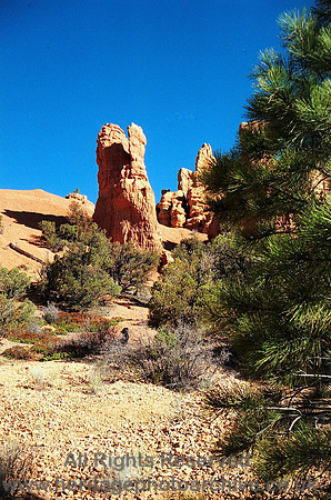HRS 2653 USA, Arizona, desert mesa