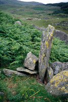 Broughton, Moor, Standing stones and ferns Sep 2007
