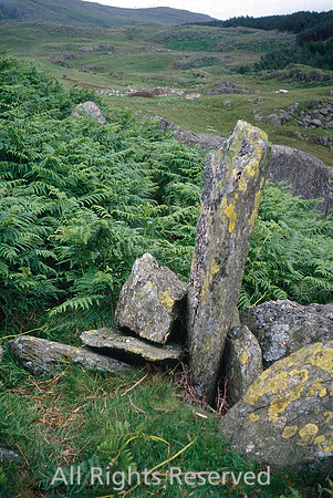 Broughton, Moor, Standing stones and ferns Sep 2007