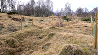 HRS 1815 Whitbarrow iron mines rake