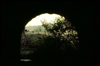 HRS 2967 Mount Sion tail race entrance under mill c1970