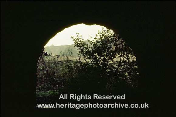 HRS 2967 Mount Sion tail race entrance under mill c1970
