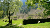 Vyrnwy area