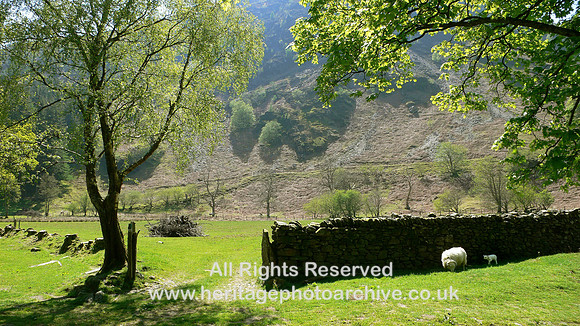HRS 6401 Vyrnwy May 2007