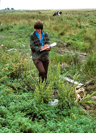 Collecting data 1982