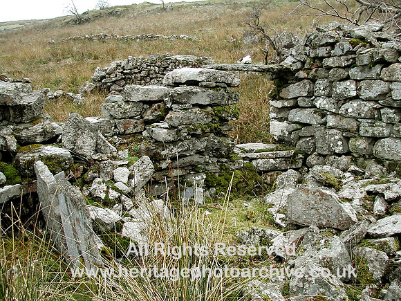 HRS 5127 Cynefail  area nr Llyn Celyn 2010