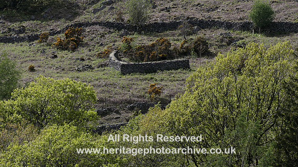 HRS 11450 Eskdale,  Boot, bield wall DSW
