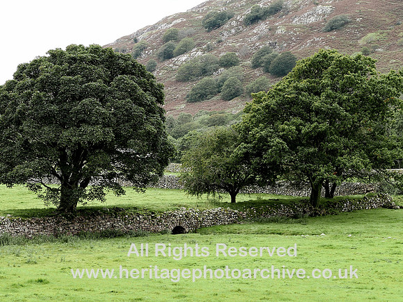HRS 11460 Eskdale, Dalgarth railway extention across field