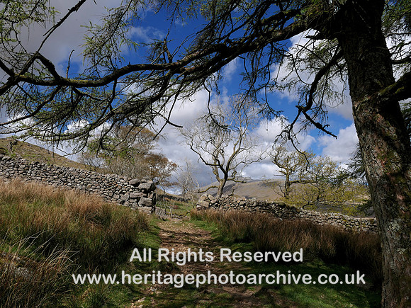 HRS 11465 Eskdale, Boot, the footpath to the mountains