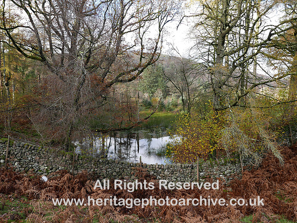 HRS 11478 Eskdale, Beckfoot area, small tarn winter