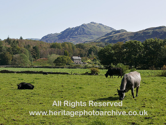 HRS 11484 Eskdale, Beckfoot, view to mountains