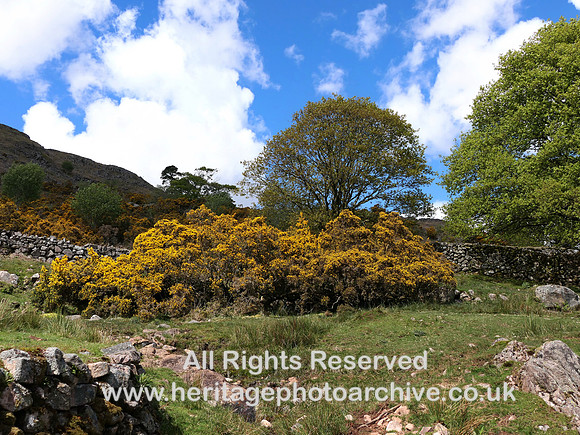 HRS 11496 Eskdale, Boot in the spring
