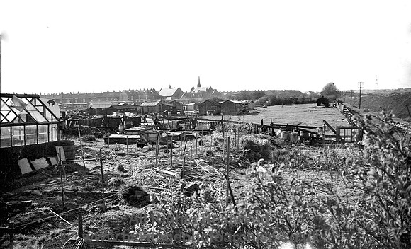 HRS 3060 Radcliffe, Allotments looking N from Cemetery Rd 1970s
