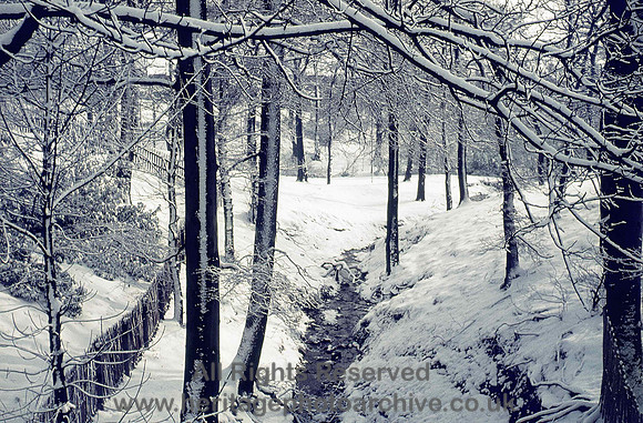 HRS 3085 Radcliffe,  Nursery Wood, Three Arrows 1973