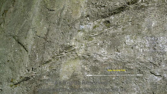HRS 7196 Little Langdale Quarry, de-watering in slate