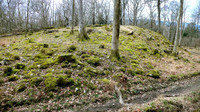 HRS 1816  Roche moutonee Whitbarrow west side