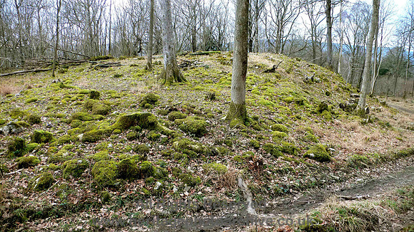 HRS 1816  Roche moutonee Whitbarrow west side